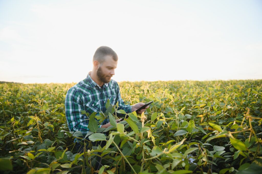 Agro concept - farmer in soybean plantation on farm